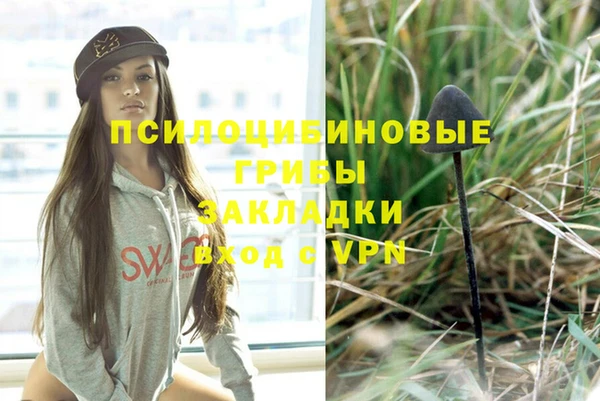 ешки Армянск