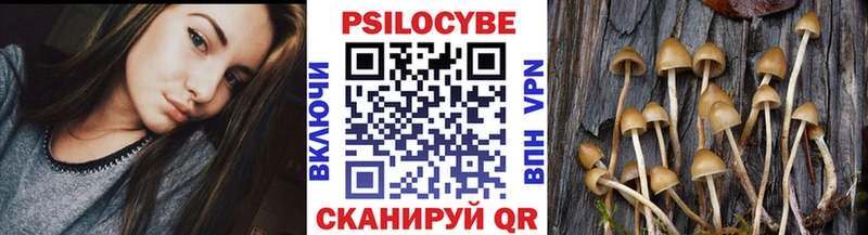 Псилоцибиновые грибы Psilocybine cubensis  МЕГА ссылка  Вышний Волочёк  даркнет сайт 